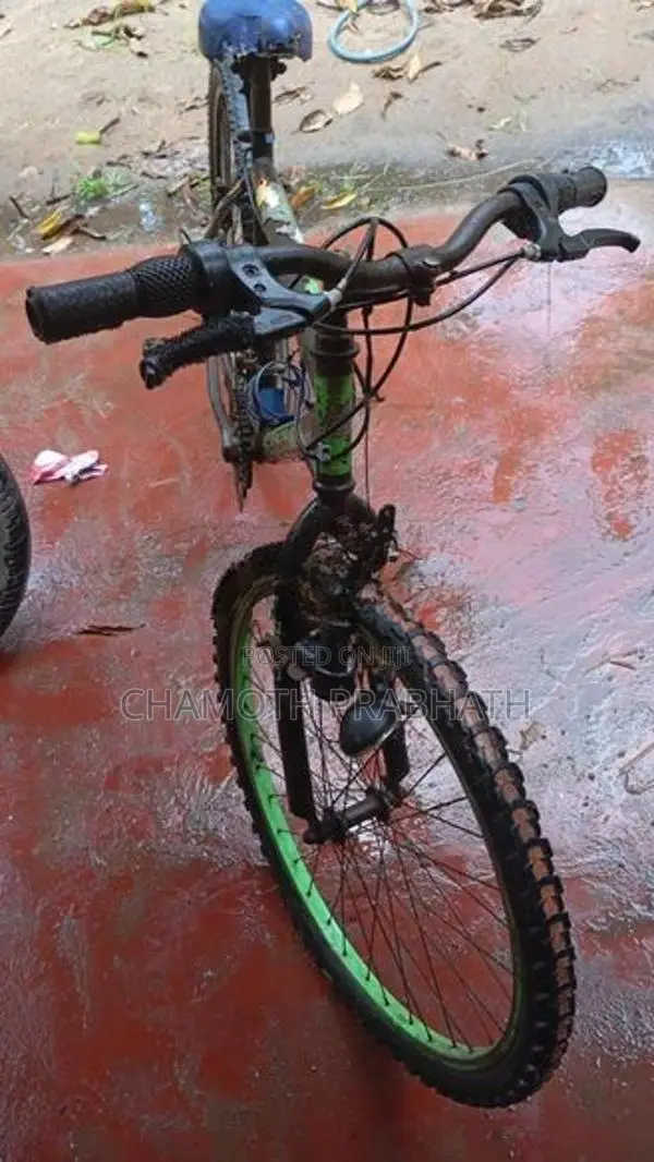 Hudson Bicycle