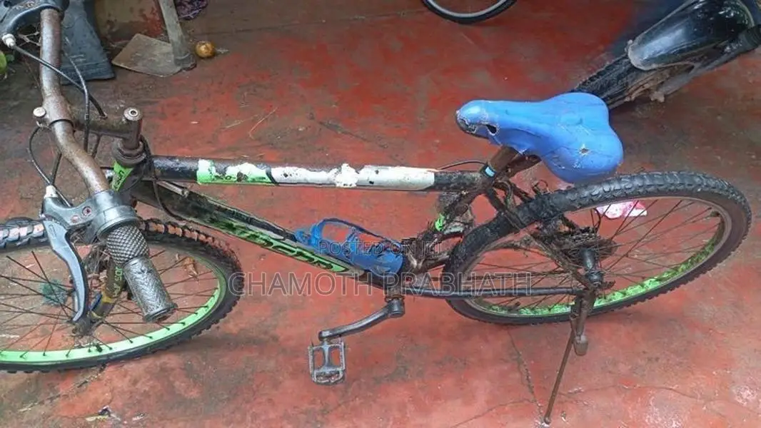 Hudson Bicycle