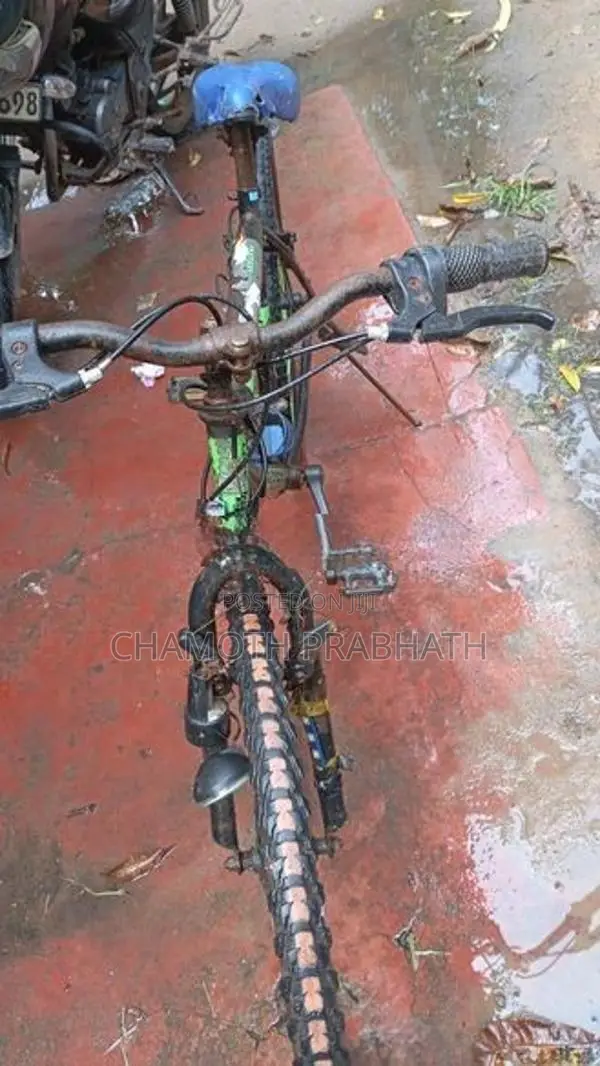 Hudson Bicycle
