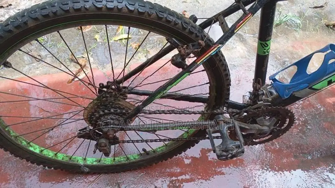 Hudson Bicycle