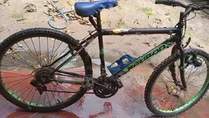 Hudson Bicycle