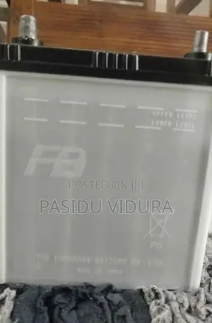 Wagon R Battery