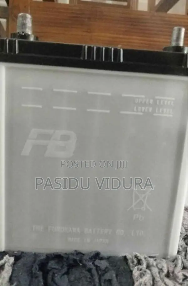 Wagon R Battery