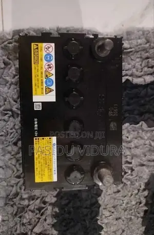 Wagon R Battery
