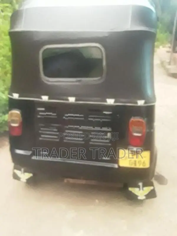TVS King 2010