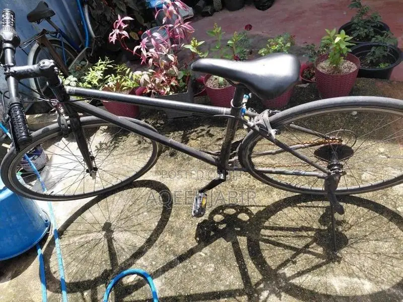 Speed Bicycle