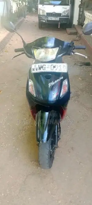Hero Pleasure Plus 2010
