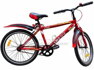 DSI Knight 24” Bicycle