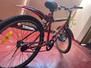 DSI Knight 24” Bicycle