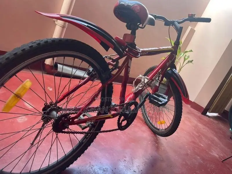 DSI Knight 24” Bicycle