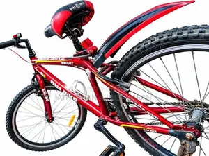 DSI Knight 24” Bicycle