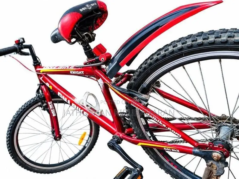 DSI Knight 24” Bicycle