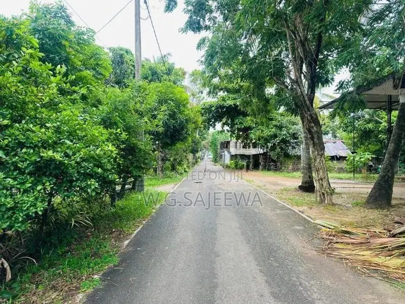 18.40 Perch Land for Sale Kurana