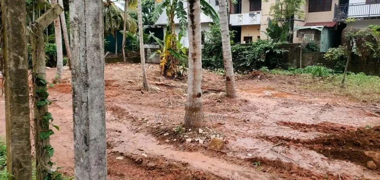 12 Perch Land for Sale Jaela