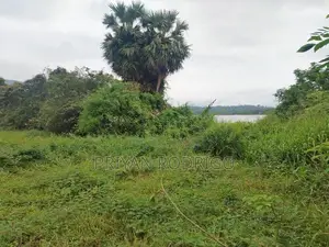 Matale District Galewela Beliyakanda 215 Perches of Scenic Land for Sa