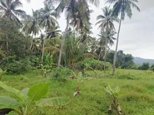 Matale District Galewela Beliyakanda 215 Perches of Scenic Land for Sa