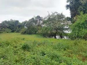 Matale District Galewela Beliyakanda 215 Perches of Scenic Land for Sa