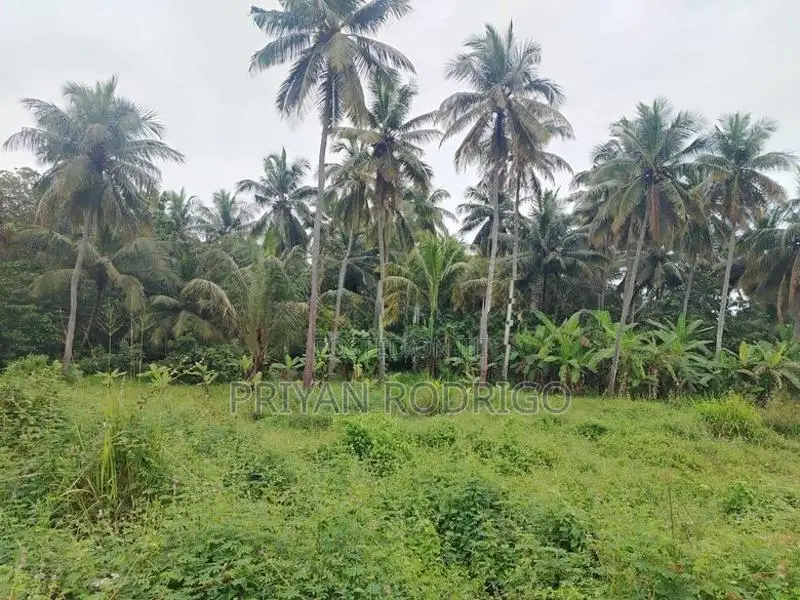 Matale District Galewela Beliyakanda 215 Perches of Scenic Land for Sa