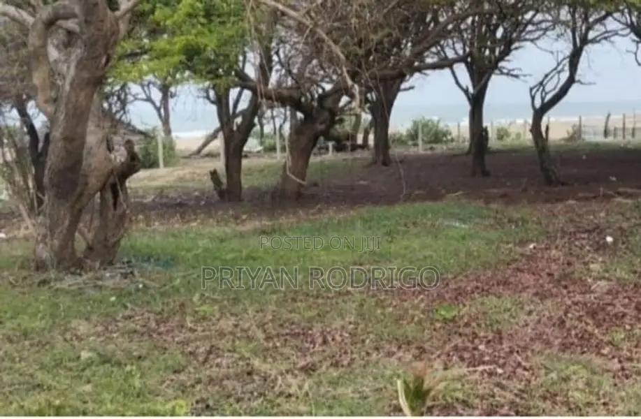 Trincomalee Nilaveli Road 327 Perches of Beach front Property for sale