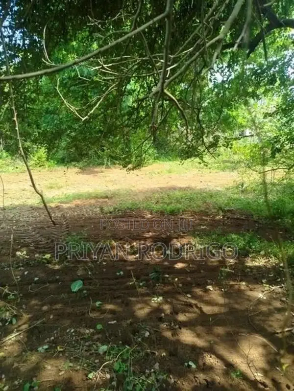 Trincomalee Nilaveli Road 327 Perches of Beach front Property for sale