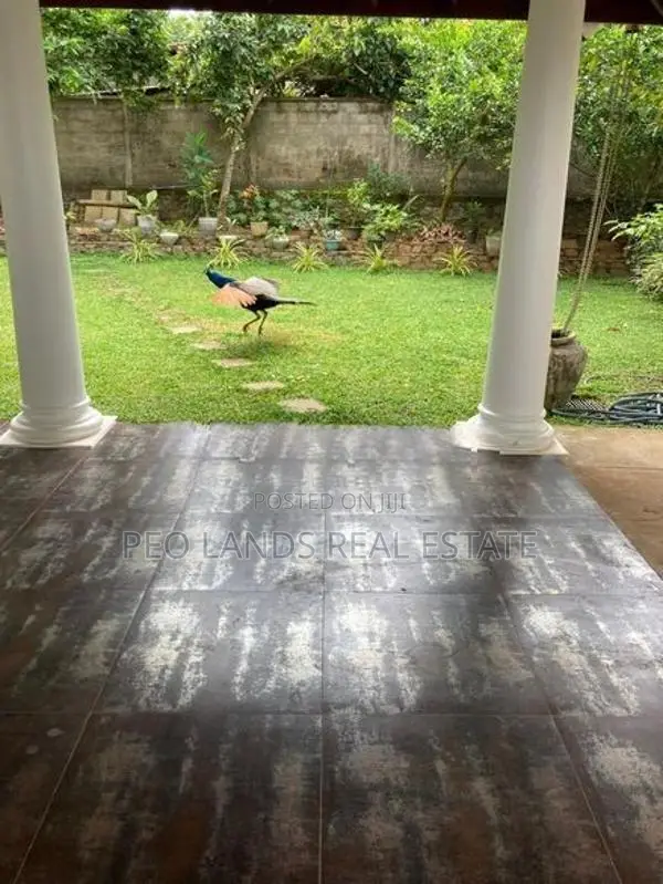 (MR506) Fully Furnished House for Rent in Athurugiriya