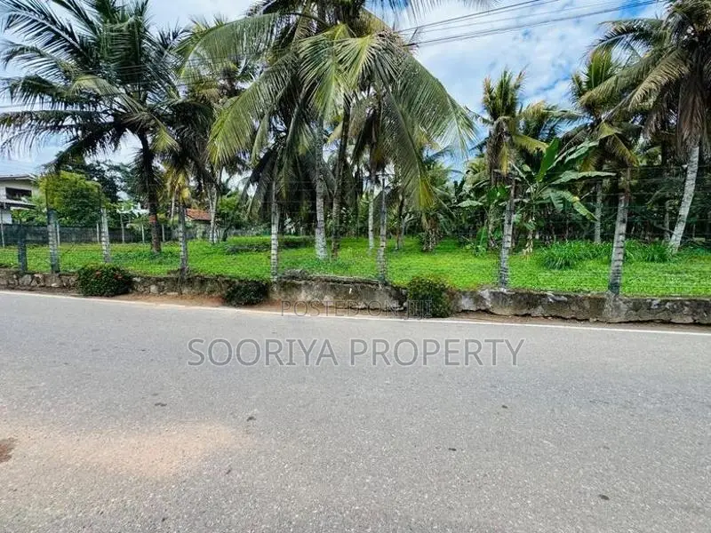 පර්චස් 280 ක ඉඩමක් විකිණීමට - Piliyandala Kesbewa