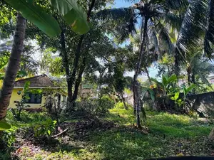 පර්චස් 280 ක ඉඩමක් විකිණීමට - Piliyandala Kesbewa