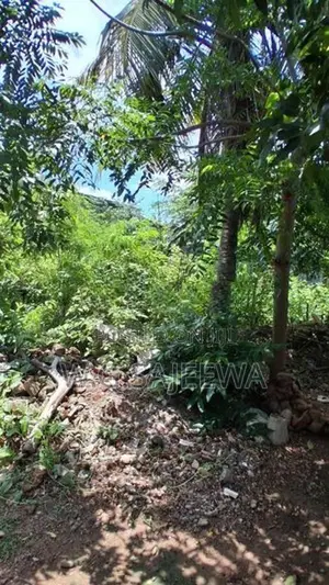 15 Perch Land for Sale Kadol Kale, Negombo
