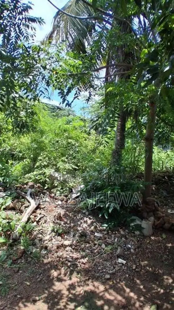 15 Perch Land for Sale Kadol Kale, Negombo