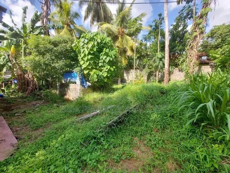 (STS-698) ​​​Valuable Land with House for Sale in Piliyandala