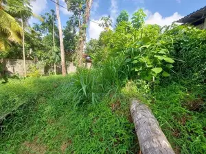(STS-698) ​​​Valuable Land with House for Sale in Piliyandala