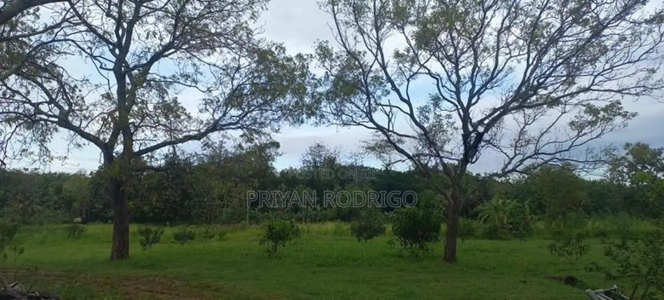 Buttala 2 Acres with 6 reservation property for Tourism on Sale