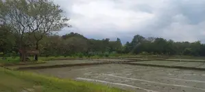 Buttala 2 Acres with 6 reservation property for Tourism on Sale