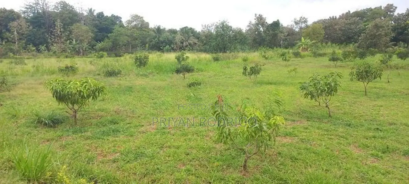 Buttala 2 Acres with 6 reservation property for Tourism on Sale
