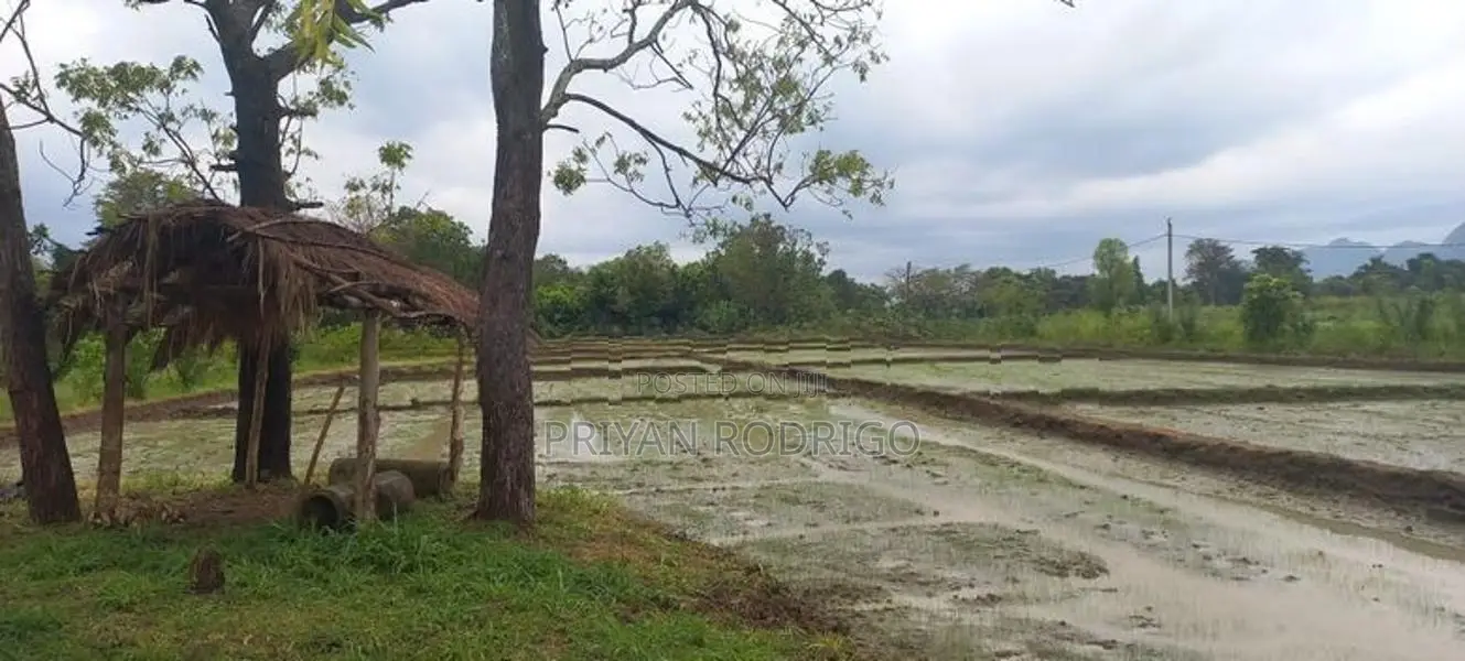 Buttala 2 Acres with 6 reservation property for Tourism on Sale