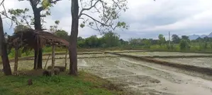 Buttala 2 Acres with 6 reservation property for Tourism on Sale