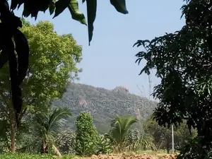 Buttala 2 Acres with 6 reservation property for Tourism on Sale