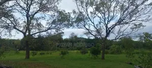 Buttala 2 Acres with 6 reservation property for Tourism on Lease