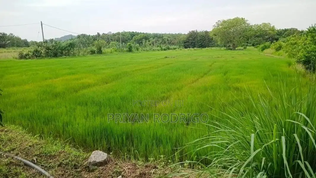 Buttala 2 Acres with 6 reservation property for Tourism on Lease