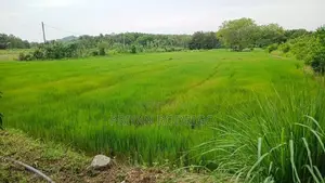 Buttala 2 Acres with 6 reservation property for Tourism on Lease