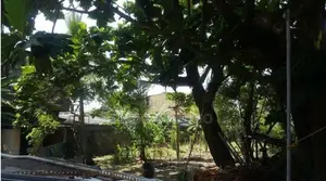 Koralawella Moratuwa 110 Perches of Land with an Ancestral Home for Sa