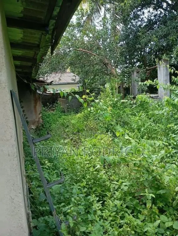 Kottawa Malapalla 19.5 Perch Land with an old house for Sale