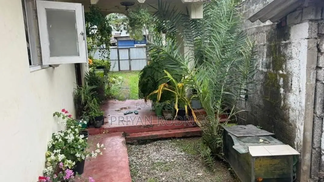Wattala Hekitta Road / Lane 15.55 Perches of Land for Sale