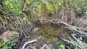 Hikkaduwa Tourist Zone – 42.96 Perches of Valuable Land for Sale