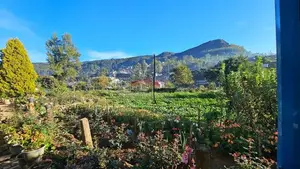 House For Sale Nuwara Eliya
