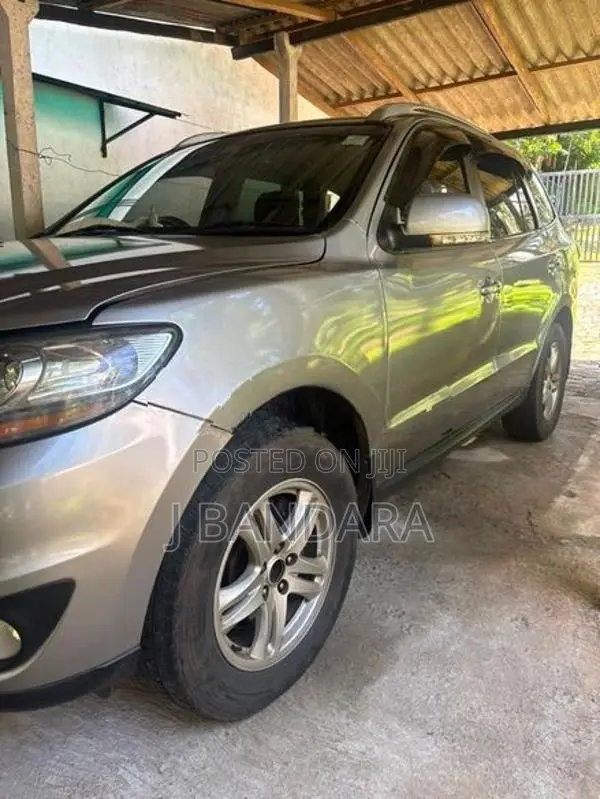 Hyundai Santa Fe 2010