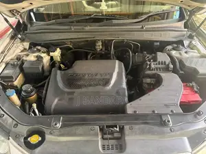 Hyundai Santa Fe 2010