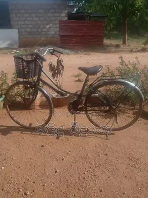 Ladies Bicycle