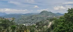 Heerassagala Kandy 22 Perch Land For Sale