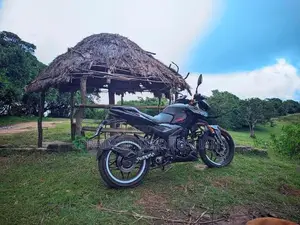 Bajaj Pulsar N160 Primeum 2025